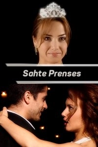 Госпожа Горничная турецкий сериал