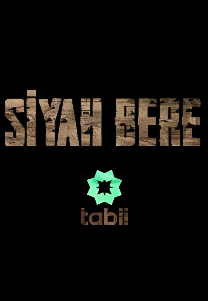 Чёрный берет турецкий сериал